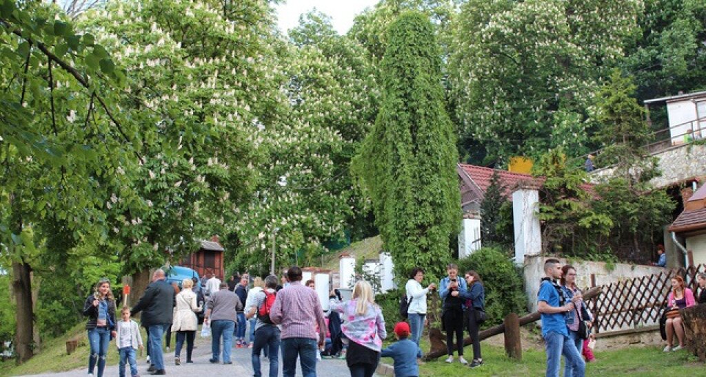 226+1 ok, miért borangoljunk a miskolci Avason