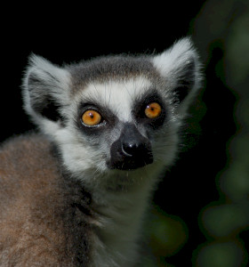 Miskolc Zoo 