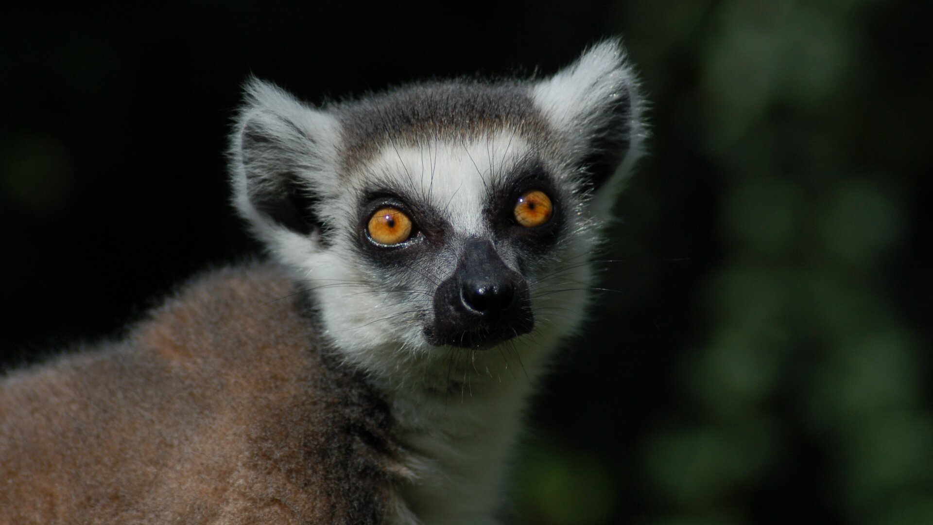 Miskolc Zoo and Cultural Park - Discount provider's details - Miskolc Pass