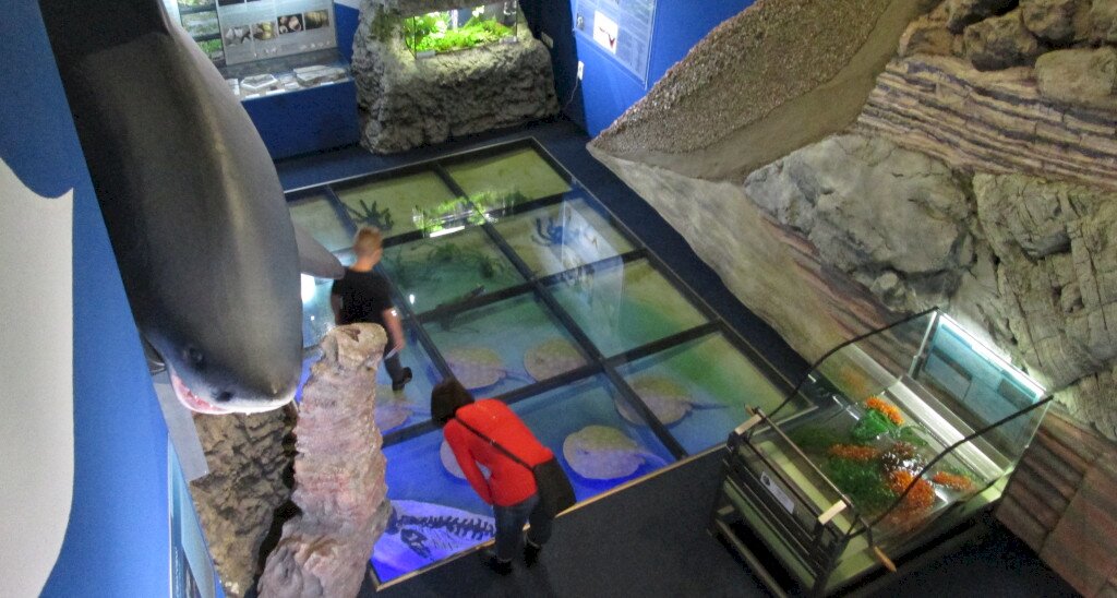 Pannon Sea Museum                                                                              