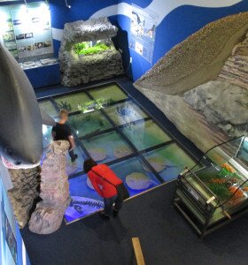 Pannon Sea Museum